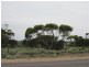 Lot 23,24,25 Smith Road, Ceduna SA 5690