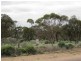 Lot 23,24,25 Smith Road, Ceduna SA 5690