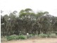Lot 23,24,25 Smith Road, Ceduna SA 5690