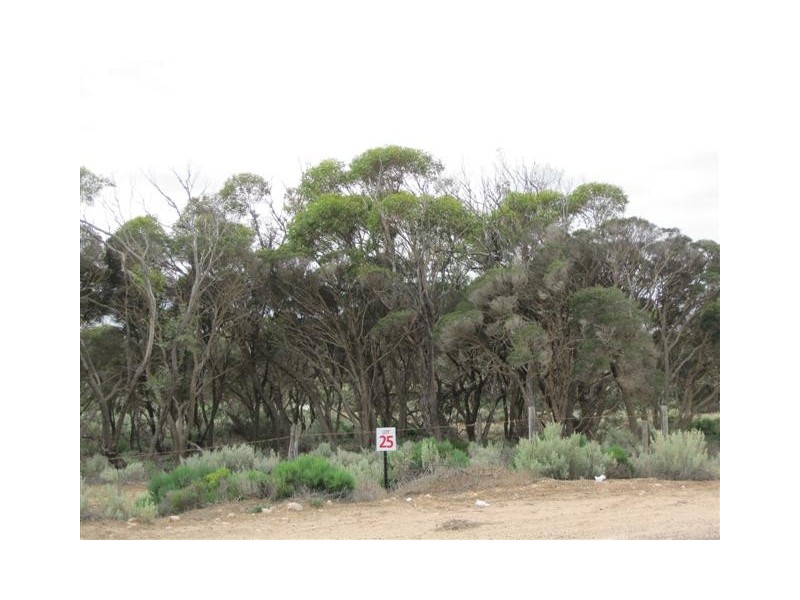 Lot 23,24,25 Smith Road, Ceduna SA 5690