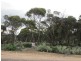 Lot 23,24,25 Smith Road, Ceduna SA 5690