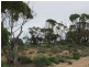 Lot 23,24,25 Smith Road, Ceduna SA 5690