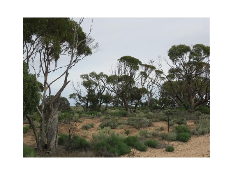 Lot 23,24,25 Smith Road, Ceduna SA 5690