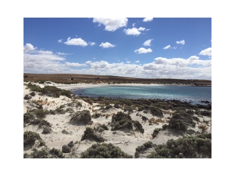303 Coast Road, Port Neill SA 5604