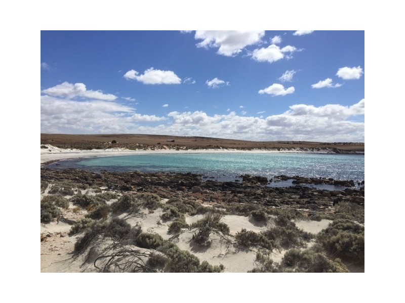 303 Coast Road, Port Neill SA 5604