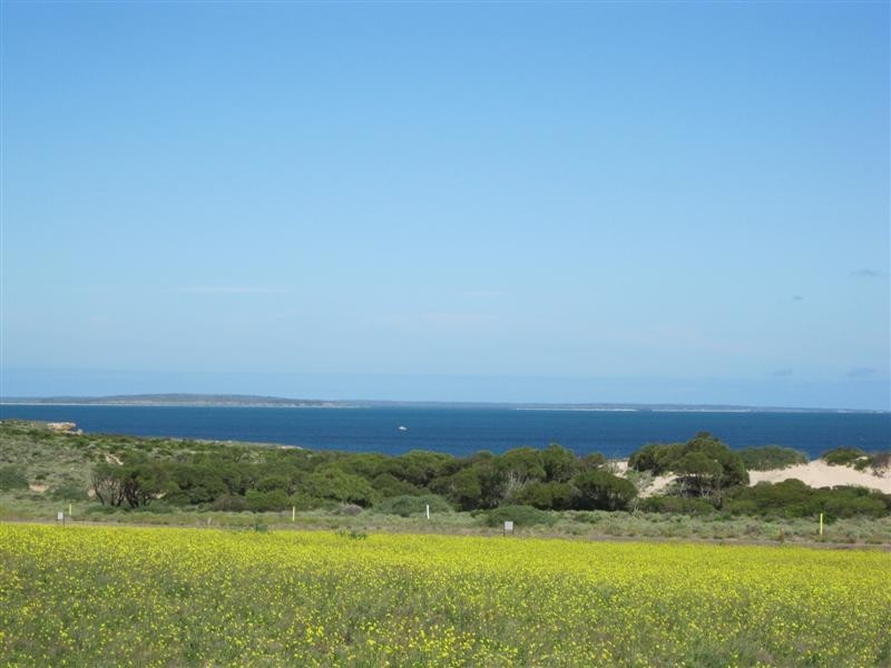 Lot 279 Bosanquet Blvd, Ceduna SA 5690