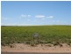 Lot 279 Bosanquet Blvd, Ceduna SA 5690