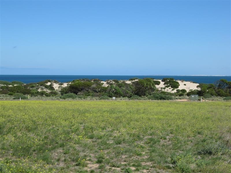 Lot 279 Bosanquet Blvd, Ceduna SA 5690