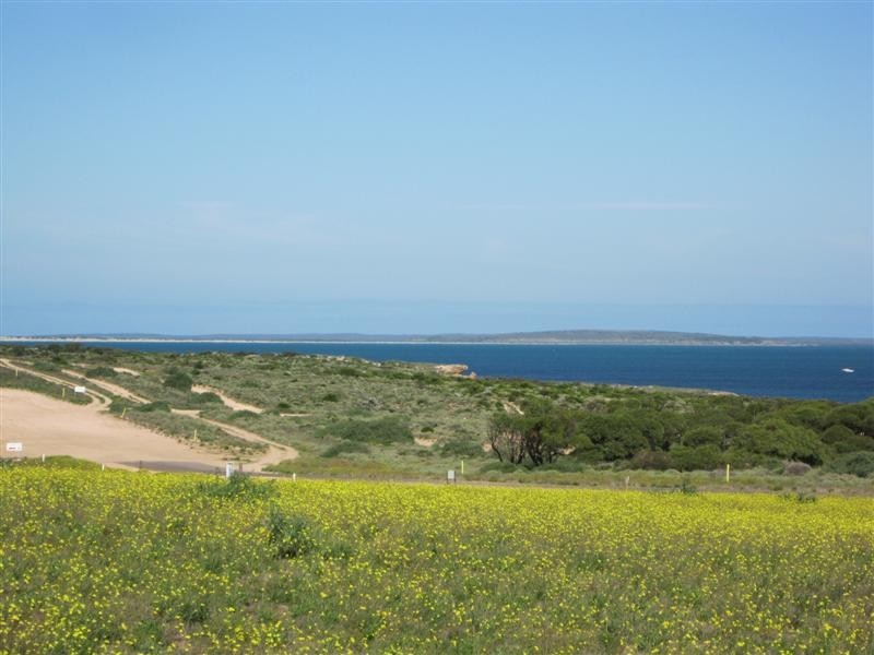 Lot 279 Bosanquet Blvd, Ceduna SA 5690