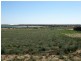 Lot 62 Laguna Ave Ceduna Waters, Ceduna SA 5690