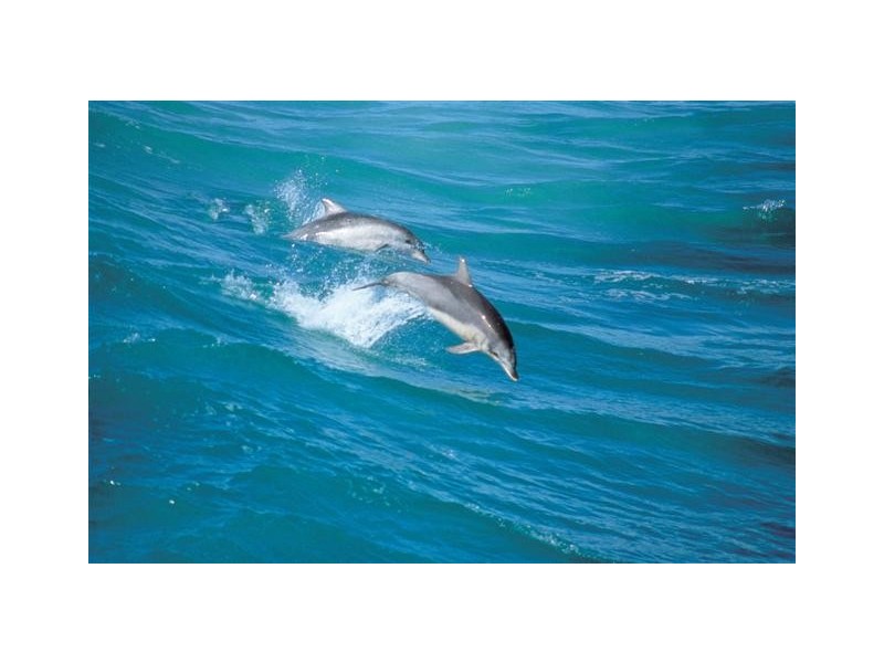 Lots 10 – 81 Clearwater Cove Estate, Streaky Bay SA 5680
