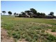 2 Frayne Terrace, Ceduna SA 5690