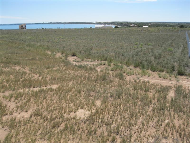 Lot 51 Laguna Ave, Ceduna Waters, Ceduna SA 5690