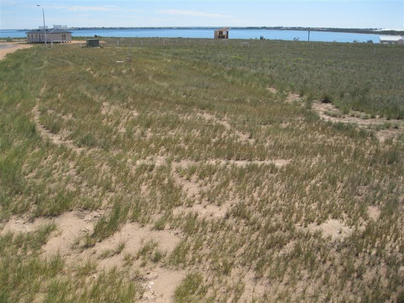 Lot 51 Laguna Ave, Ceduna Waters, Ceduna SA 5690