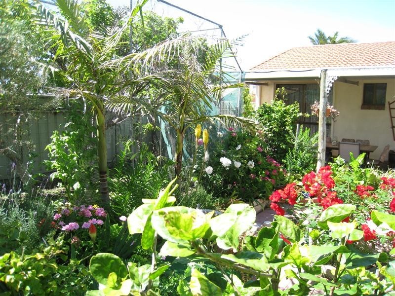 3 Tremaine Street, Smoky Bay SA 5680