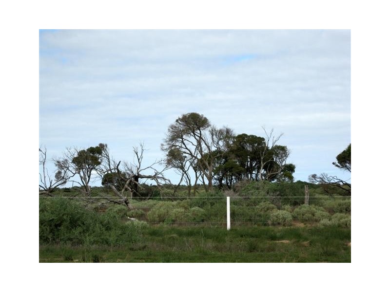 Lot 59 Laguna Avenue, Ceduna SA 5690