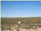 Lot 278 Bosanquet Boulevard, Ceduna SA 5690