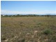 Lot 278 Bosanquet Boulevard, Ceduna SA 5690