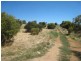 Lot 301 Bronze Wing Drive, Boston SA 5607