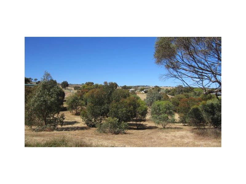 Lot 301 Bronze Wing Drive, Boston SA 5607