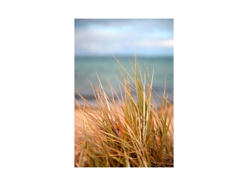 Lot 17 Bosanquet Boulevard, Ceduna SA 5690