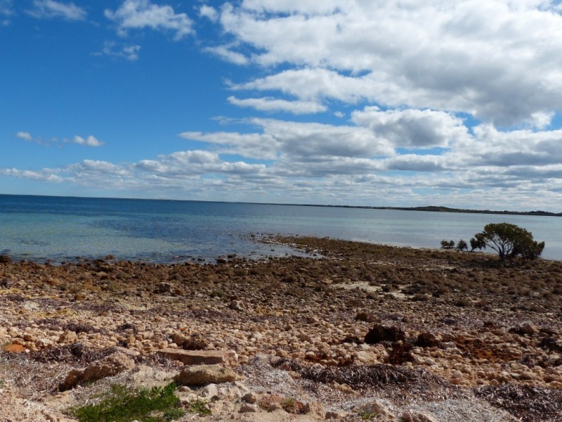 1-6 Murat Shores, Dowling Crescent, Ceduna SA 5690