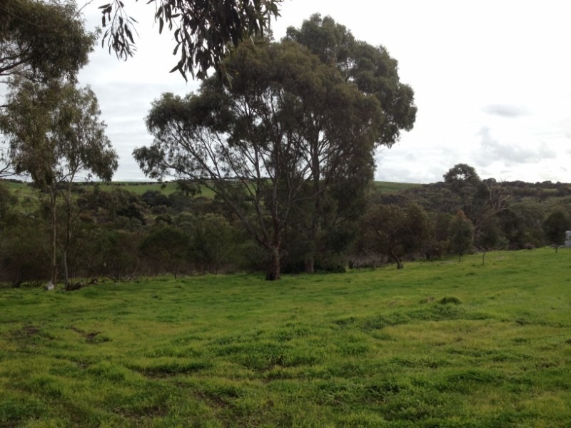 Lot 115 Hidden Valley Lane, Port Lincoln SA 5606