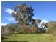 Lot 115 Hidden Valley Lane, Port Lincoln SA 5606