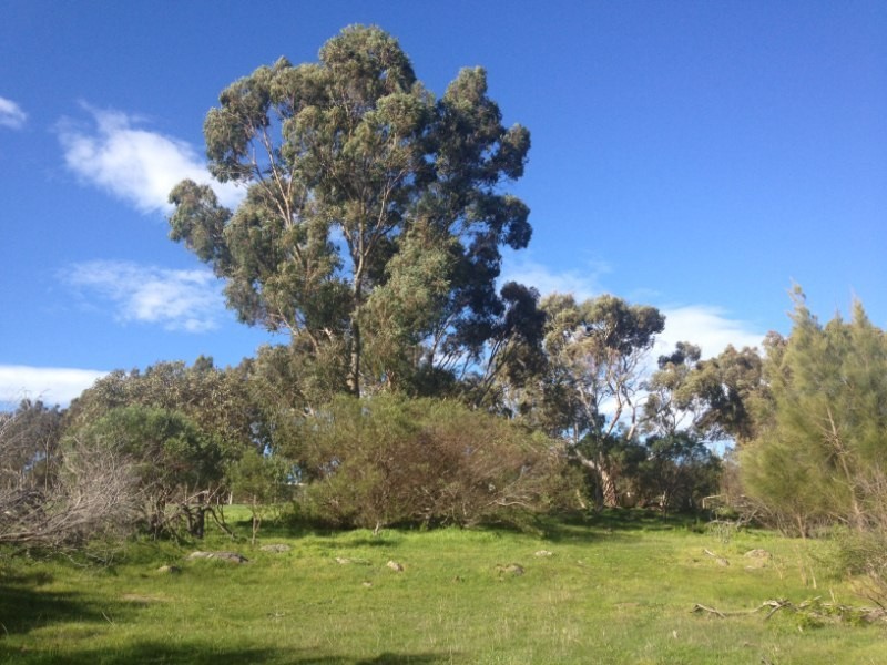 Lot 115 Hidden Valley Lane, Port Lincoln SA 5606