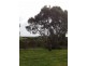 Lot 115 Hidden Valley Lane, Port Lincoln SA 5606