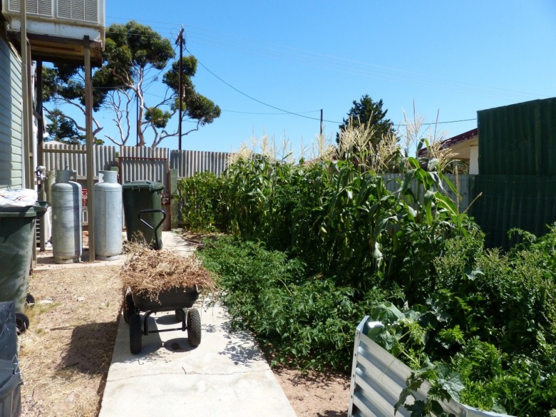 7 Park Terrace, Ceduna SA 5690