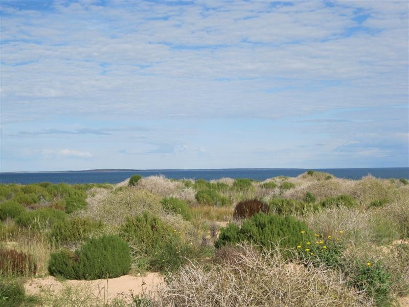 Lot 86 Bosanquet Boulevard, Ceduna Waters, Ceduna SA 5690