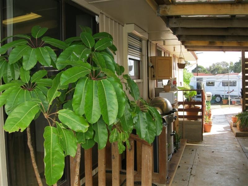 5 Chadwick Street, Ceduna SA 5690