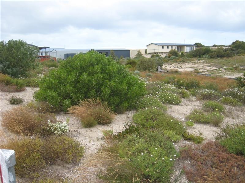 Lot 21 East Terrace, Elliston SA 5670
