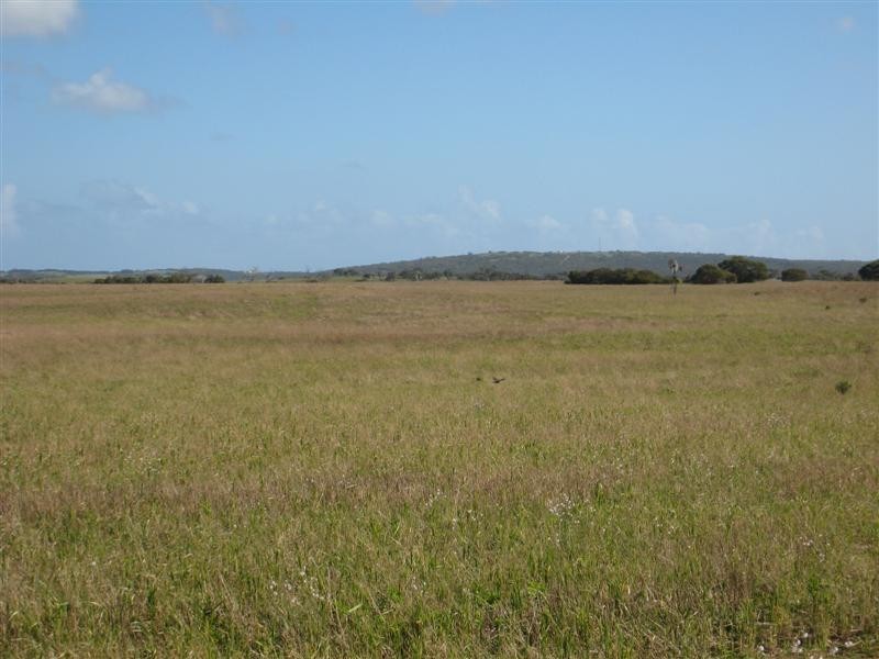 Sec 30 Flinders Highway, Wangary SA 5607