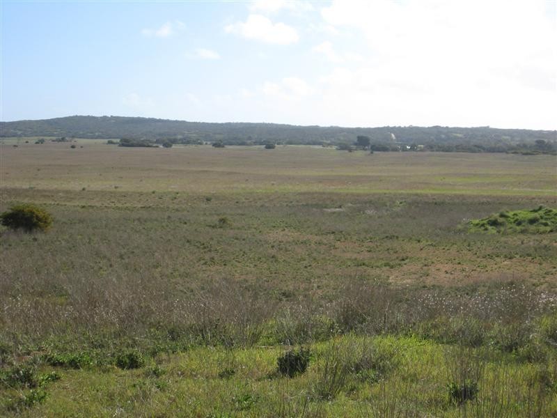 Sec 30 Flinders Highway, Wangary SA 5607