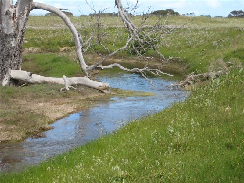 Sec 30 Flinders Highway, Wangary SA 5607