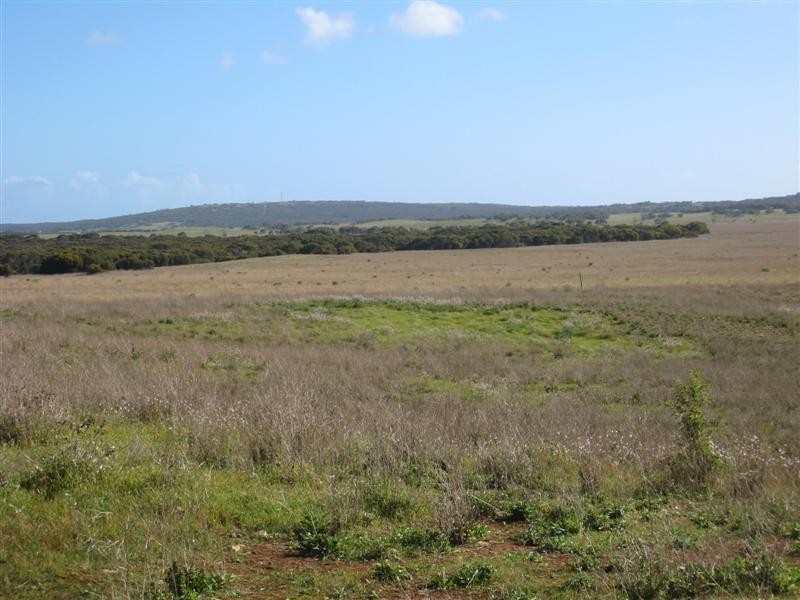 Sec 30 Flinders Highway, Wangary SA 5607