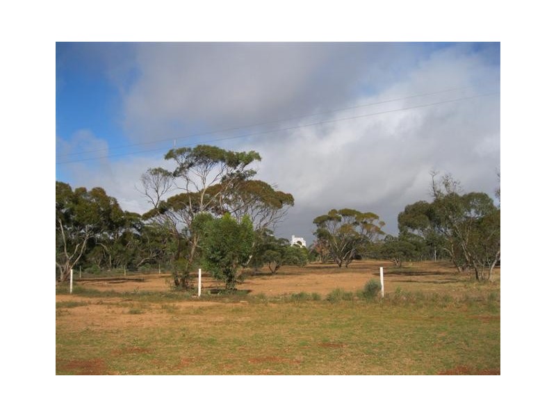 76 Station Road, Wirrulla SA 5661