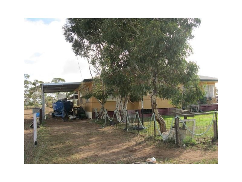 76 Station Road, Wirrulla SA 5661