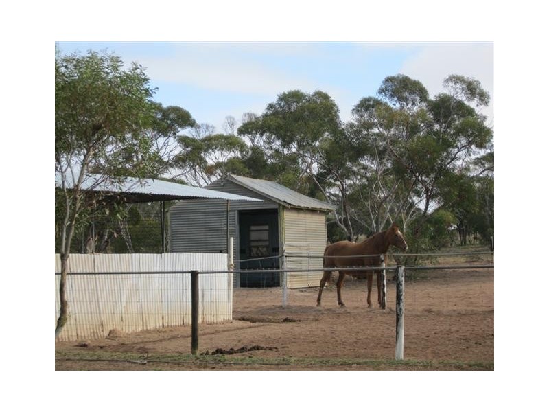 76 Station Road, Wirrulla SA 5661