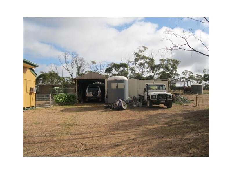 76 Station Road, Wirrulla SA 5661
