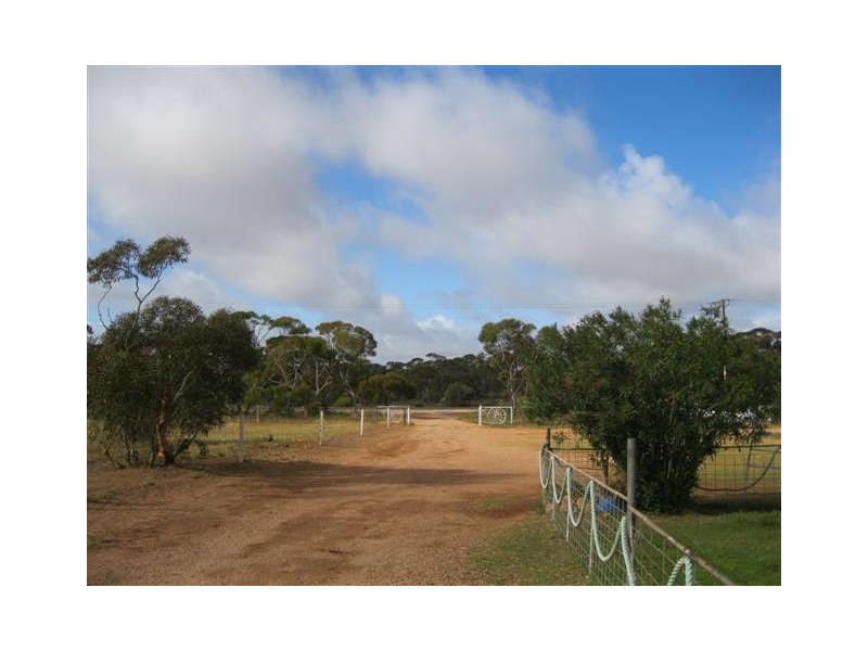 76 Station Road, Wirrulla SA 5661