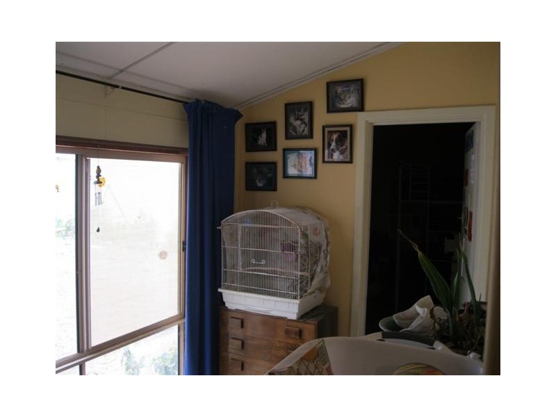 76 Station Road, Wirrulla SA 5661