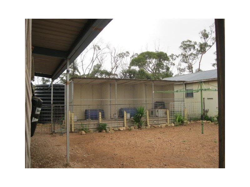 76 Station Road, Wirrulla SA 5661
