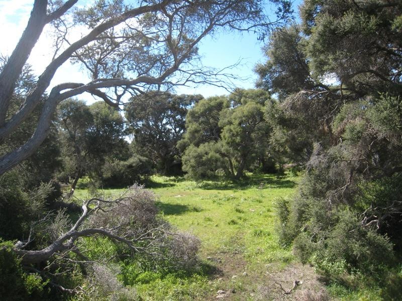 11 Grimm Road, Coffin Bay SA 5607