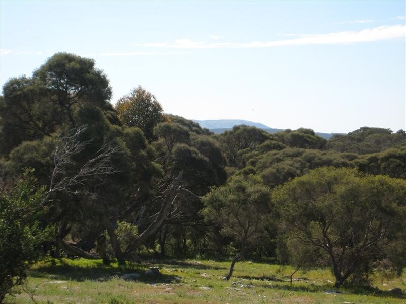 11 Grimm Road, Coffin Bay SA 5607