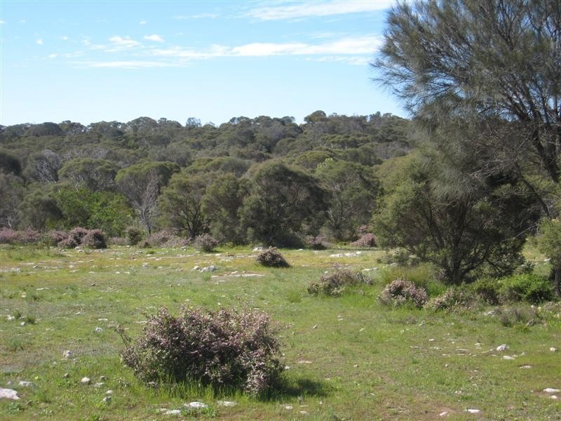 11 Grimm Road, Coffin Bay SA 5607