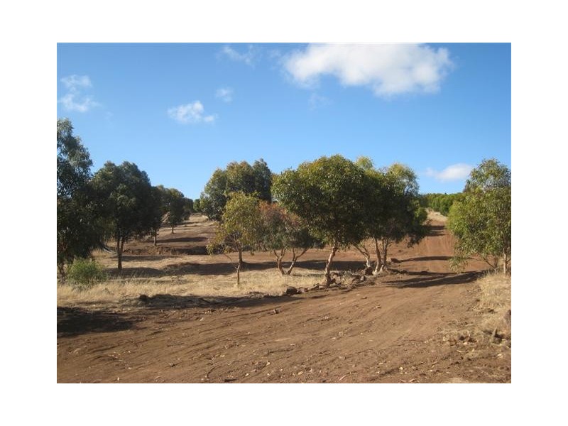 Lot 62 Roberts Road, Boston Via, Port Lincoln SA 5606