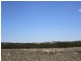 Lot 19 Sceale Bay Road, Streaky Bay SA 5680